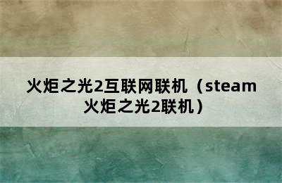 火炬之光2互联网联机（steam 火炬之光2联机）